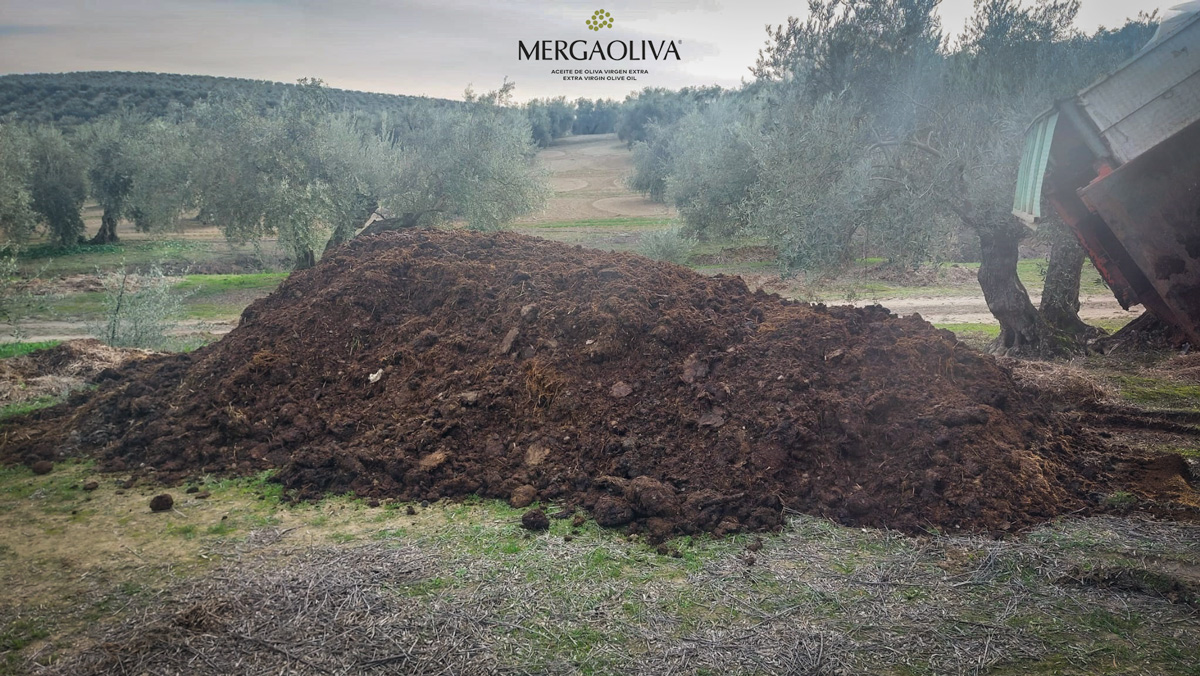 olivar ecologico estiércol